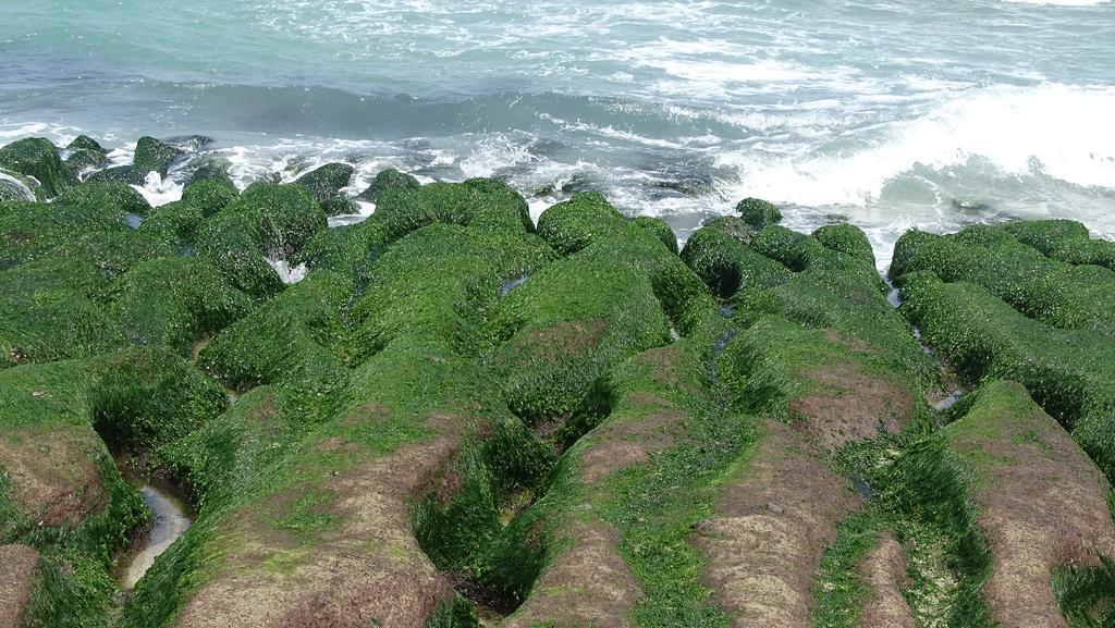 Emoonten Homestay Sanzhi المظهر الخارجي الصورة
